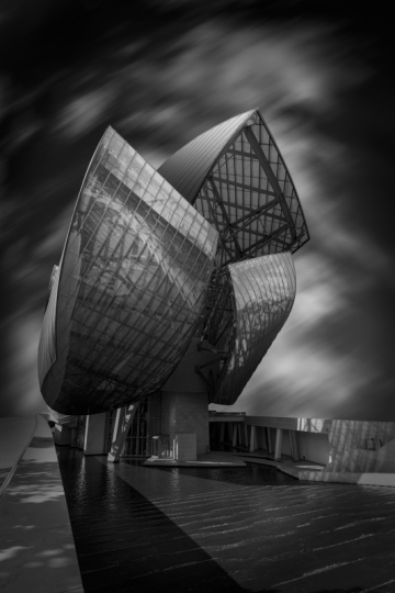 BD_FineArt-7