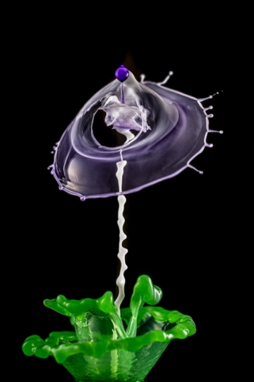 BD_drop-4
